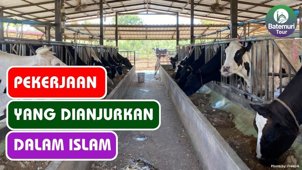 Ini Dia 7 Pekerjaan yang Dianjurkan dalam Islam